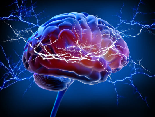 Effetto protettivo di un mix di polifenoli e micronutrienti contro la neurodegenerazione indotta da un modello in vitro del morbo di Parkinson