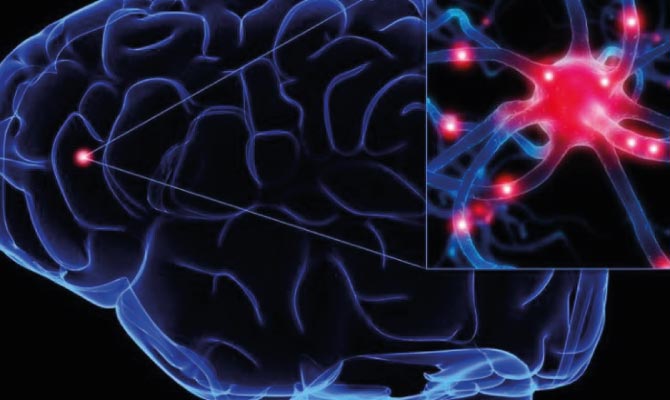 Polifenoli e ictus ischemico: informazioni su una delle migliori strategie per la prevenzione e il trattamento