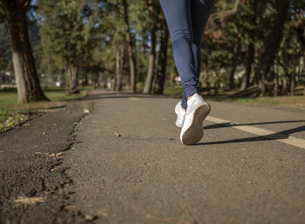 Funzione dei mitocondri: cosa sono e a cosa servono