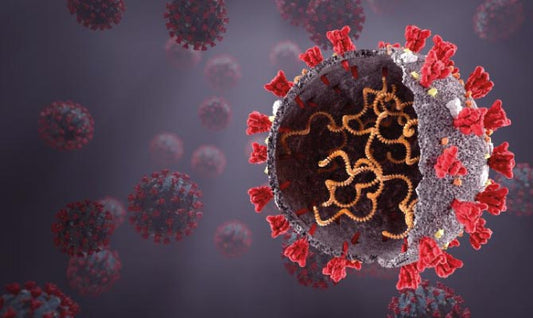 Ruolo protettivo di polifenoli e micronutrienti combinati contro il virus dell'influenza A e l'infezione da SARS-CoV-2 in vitro