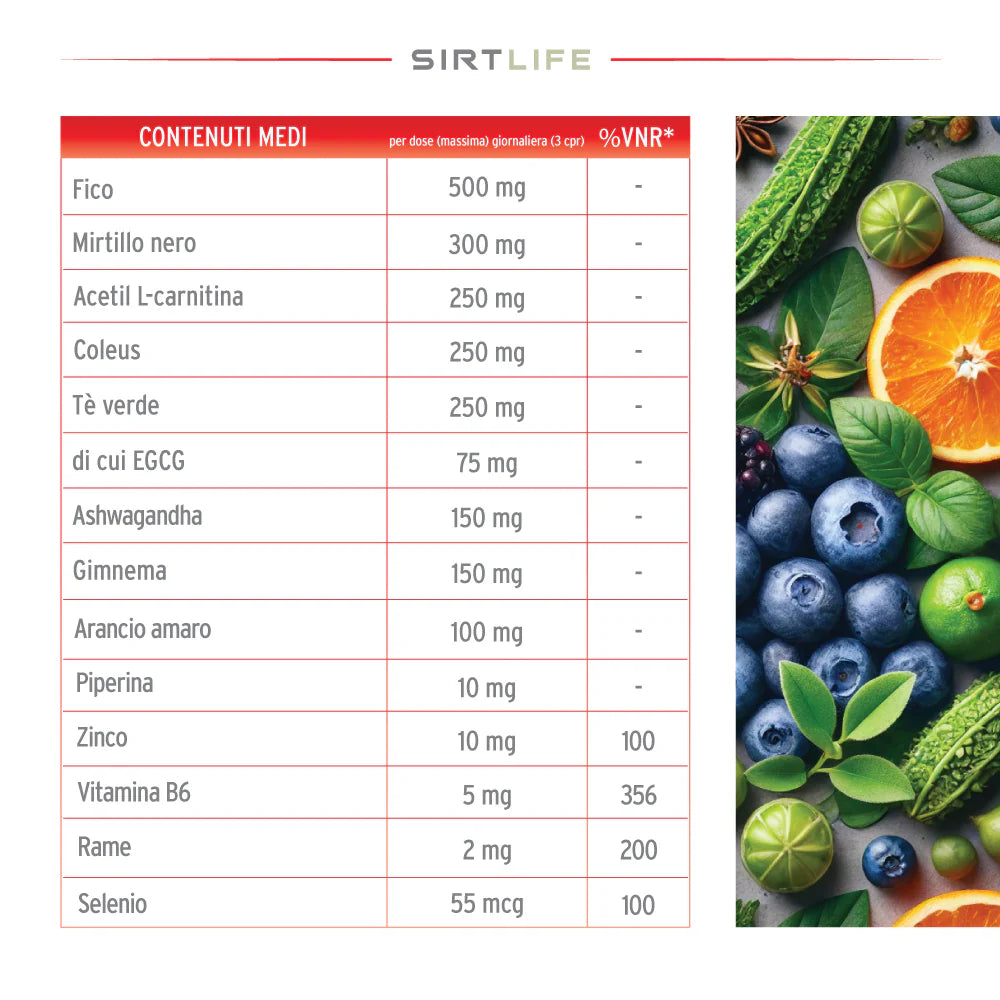 SIRTLIFE LIPO