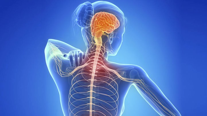 Sirtuins in Multiple Sclerosis: The crossroad of neurodegeneration, autoimmunity and metabolism